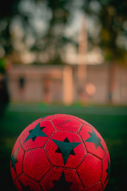 思自身的竞 思自身的竞