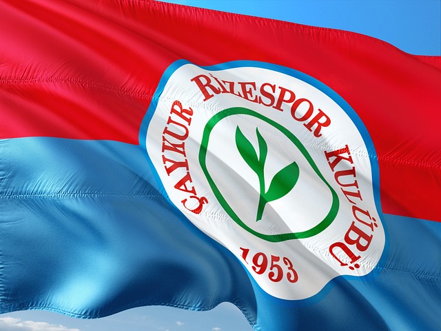 本文将带您 本文将带您