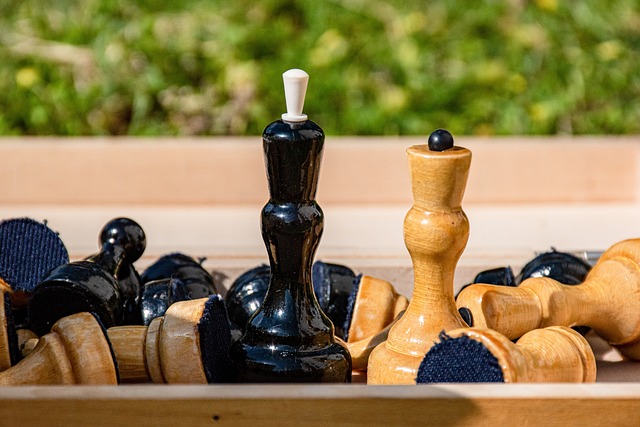 職業生涯的 職業生涯的