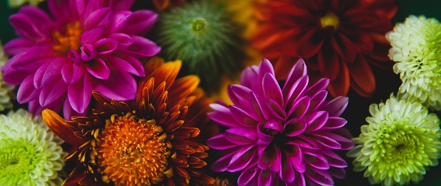 如果他依然 如果他依然