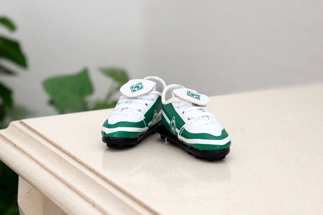 注目的盛事 注目的盛事