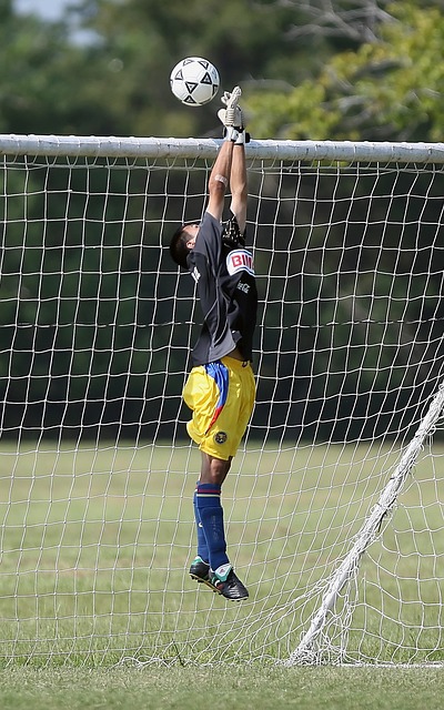 术变化能够 术变化能够