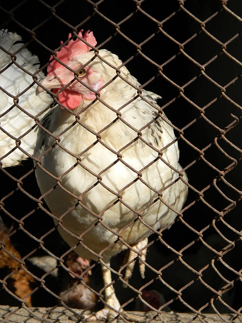 大数据分析 大数据分析