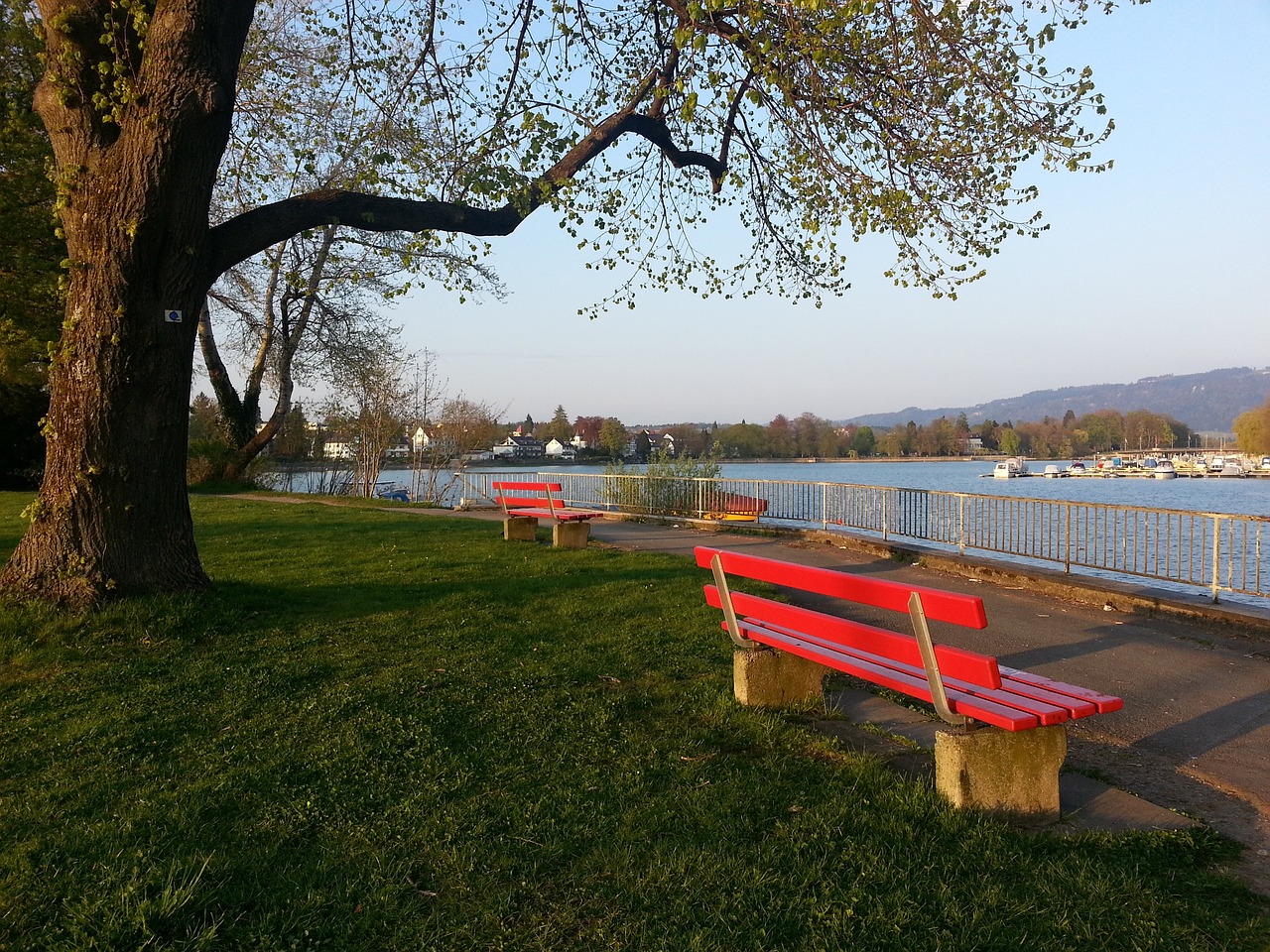 切尔西的铁 切尔西的铁