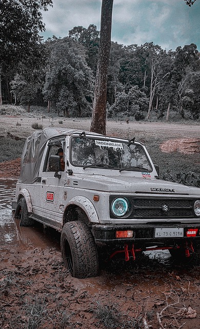 几次挫败，诗怒干扰心态，张本智和又受挫.