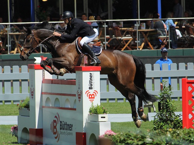 公判罚似乎 公判罚似乎