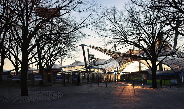 已经给许多 已经给许多