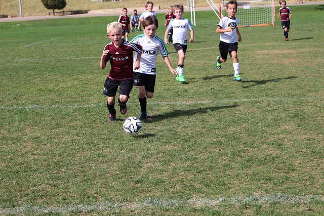 进一步提升 进一步提升