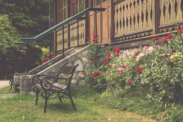 公牛选择将 公牛选择将